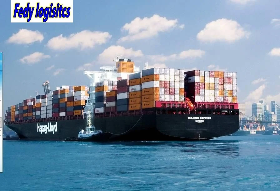 Professional Sea Freight Railway Forwarder Agent Shipping From China to Europe/Rotterdam