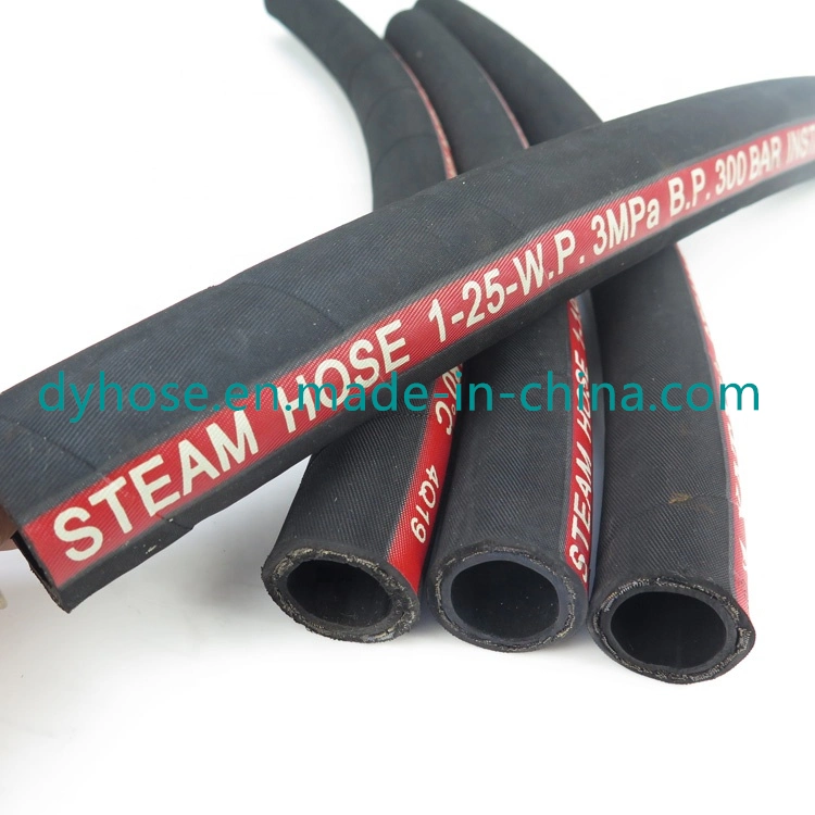 Stainless Steel 304 Explosion-Proof Flexible Connecting Pipe High Pressure Steam Bellows Steel Wire Braided Hose