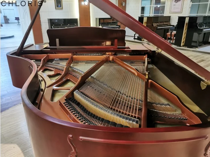 Antique Design Mahogany Matte Carving Grand Piano Sg-186