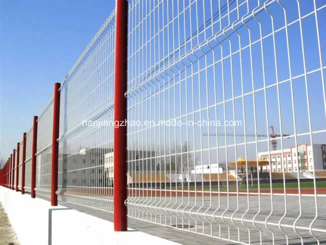 En Amérique du Sud Hot Sale en métal poudré Wire Mesh (XMM-wm5)