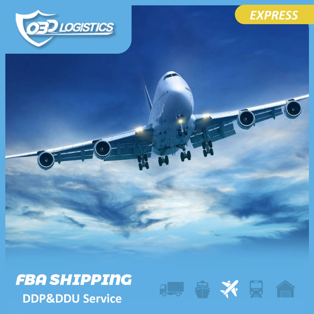 Amazon Fba Air Freight Express From China to Us/UK/Europe/Germany/France by Air