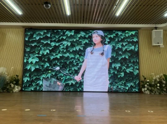 Indoor LED Display Panel P2 P2.5 P3 P3.9 P4.8 High Brightness HD Big Screen for Meeting/ Ads LED Video Wall