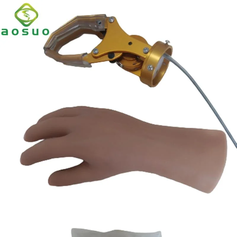 Medical Prosthetics Upper Limbs Control Hand Prosthetic Arm