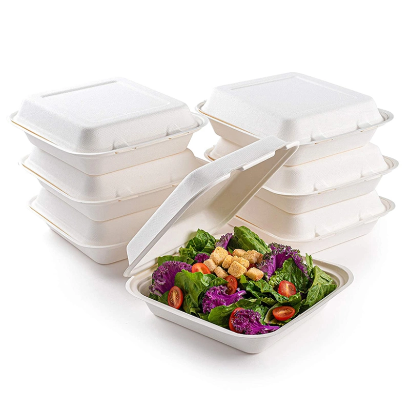 Paper/Packing/Storage/Packaging Biodegradable Eco Pulp Packaging Box Disposable Paper Food Container