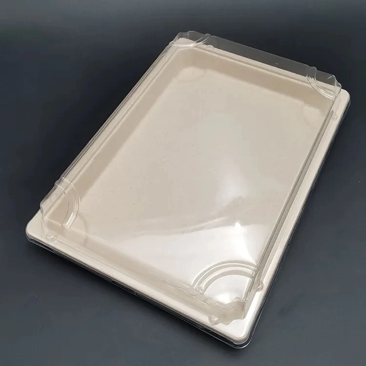 Disposable Sugarcane Tableware Environmental Protection Bagasse Rectangle Tray