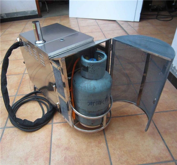 Wld1190 High quality/High cost performance  Portable Steam Car Washer for Sale