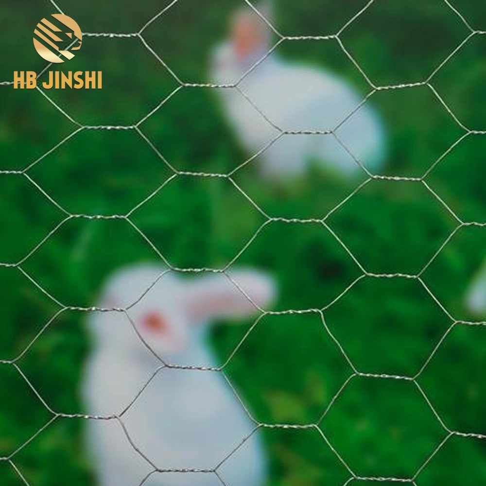 0.9mm Wire Galvanized Hexagonal Wire Mesh Fence