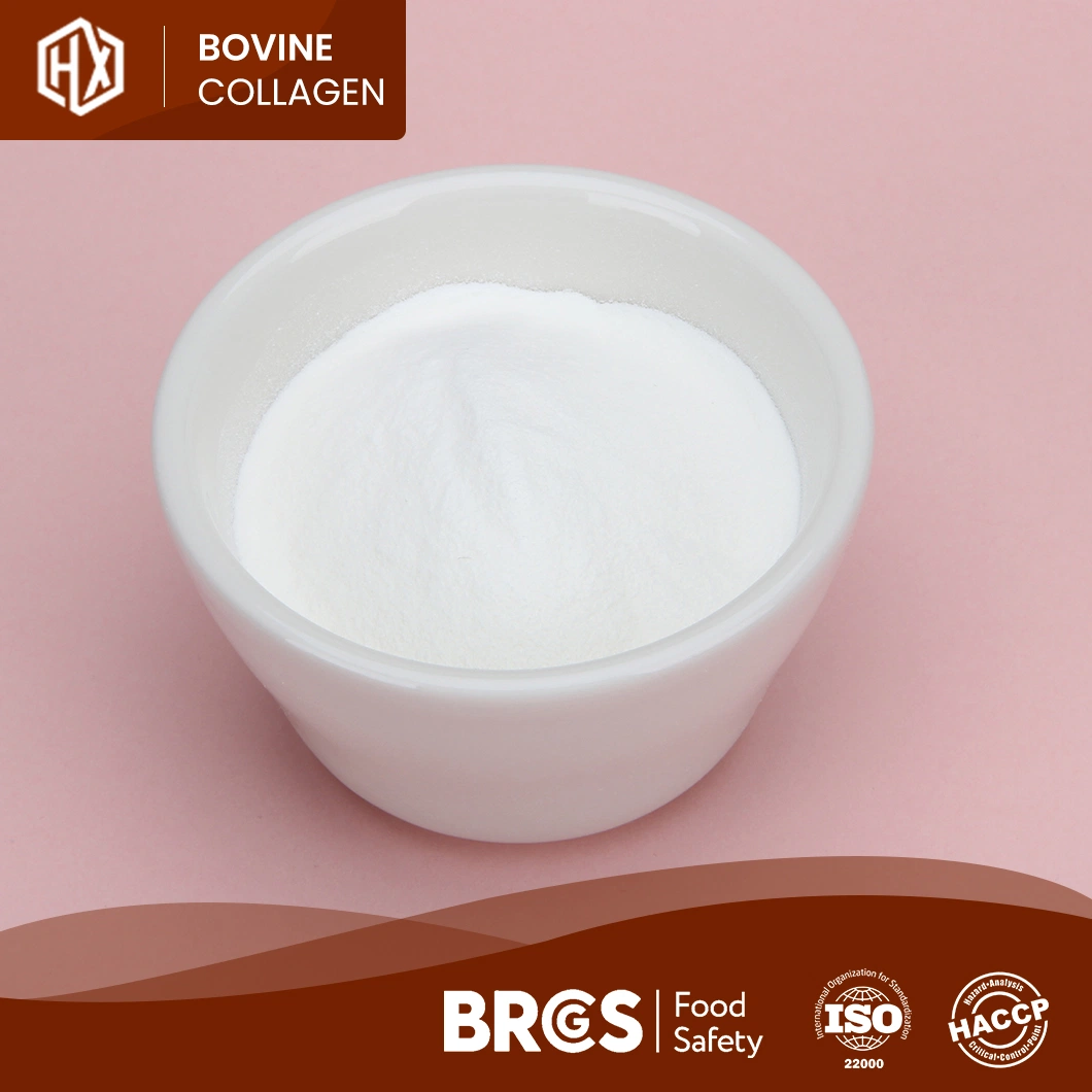 Haoxiang Collagen Peptides From Bovine Bone OEM Customized Bovine Collagen Peptide Protein Powder China Manufacturers One-Stop Service Growth Collagen Peptides