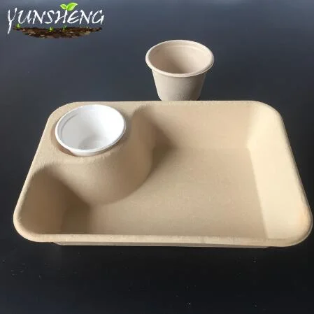 Compostable Bamboo Paper Trays with 2, 3, 5 Compartments for Fastfood