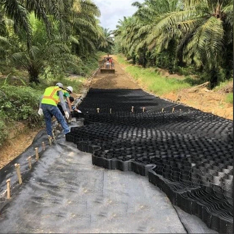 HDPE Geocell for Slope and Road Construction