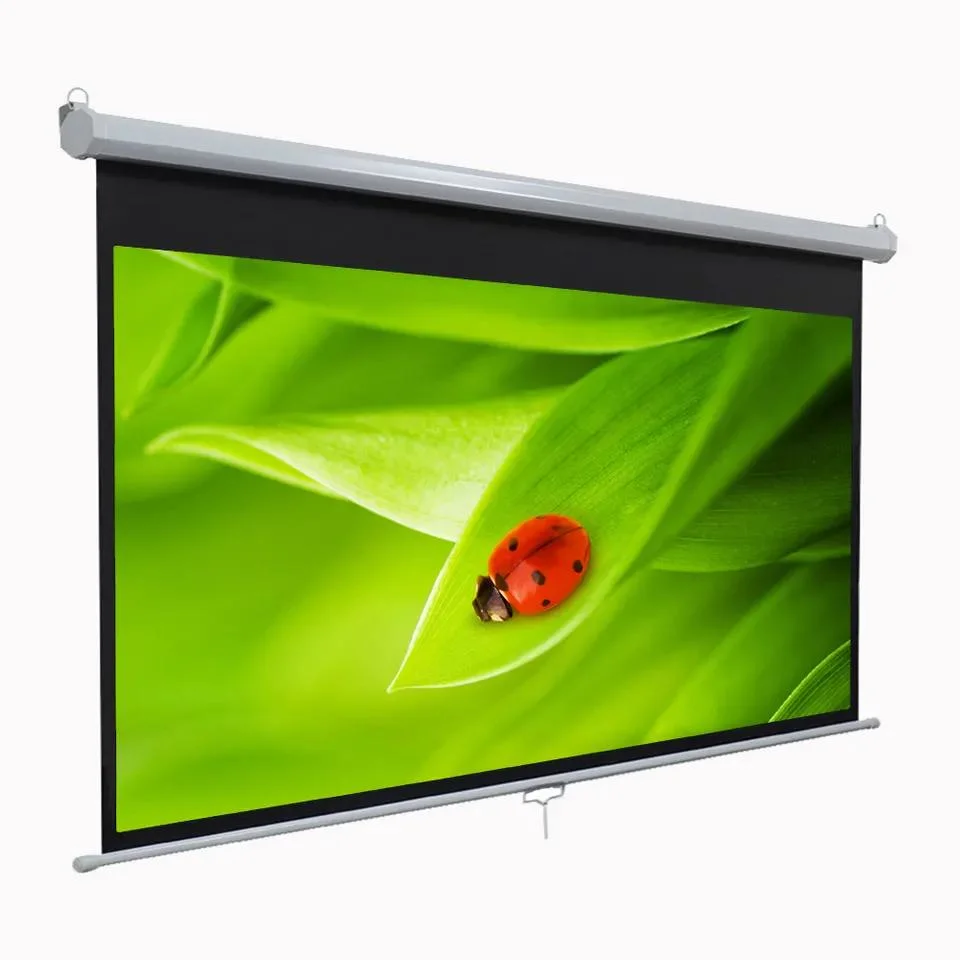 Manual Screen, Pull Down Projector Screen with High quality/High cost performance 