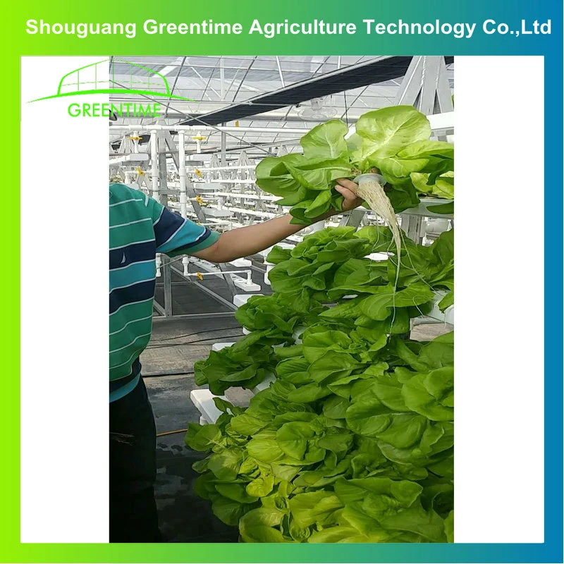 High quality/High cost performance  Growing Complete Hydroponic Nft Channel Channels Hydroponics System for Garden/Home