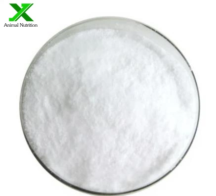 Factory Glycine Betaine Powder Amino Acid Supplement Materials CAS 107-43-7