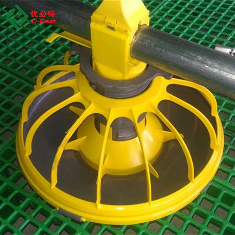 Poultry Farm Equipment Automatic Chicken Feeding and Drinking System for Sale