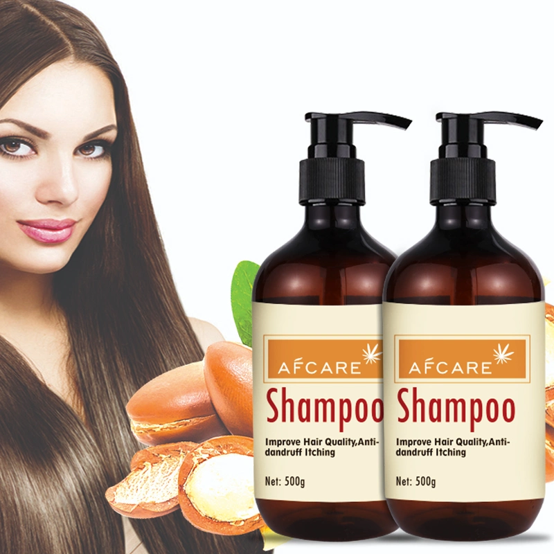 Manufacturer Cheap Price Best Quality Anti Hair Loss Moisturizing Anti-Frizz Hair Argan Oil Shampoo Oil Control Unisex