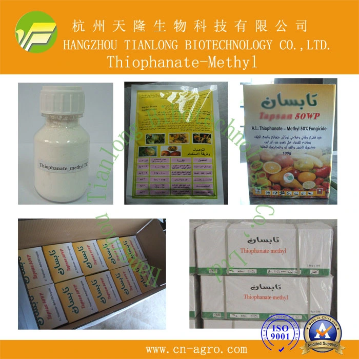 Fungicide  Thiophanate-methyl 98%TC CAS 23564-05-8