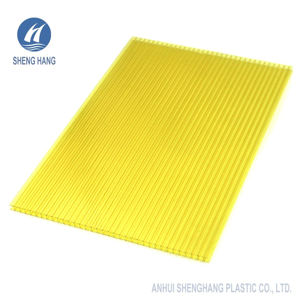 Decorative Plastic Polycarbonate Hollow Panel with SGS Certificate