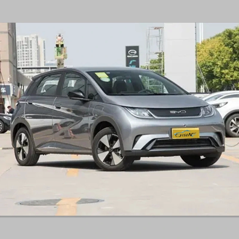 Hot-Selling New Energy Electric Vehicle with High Appearance