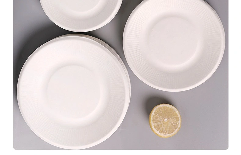 Amazon Degradation Tableware Hot Sale Waterproof and Oil-Proof and Degradable Meal Plates