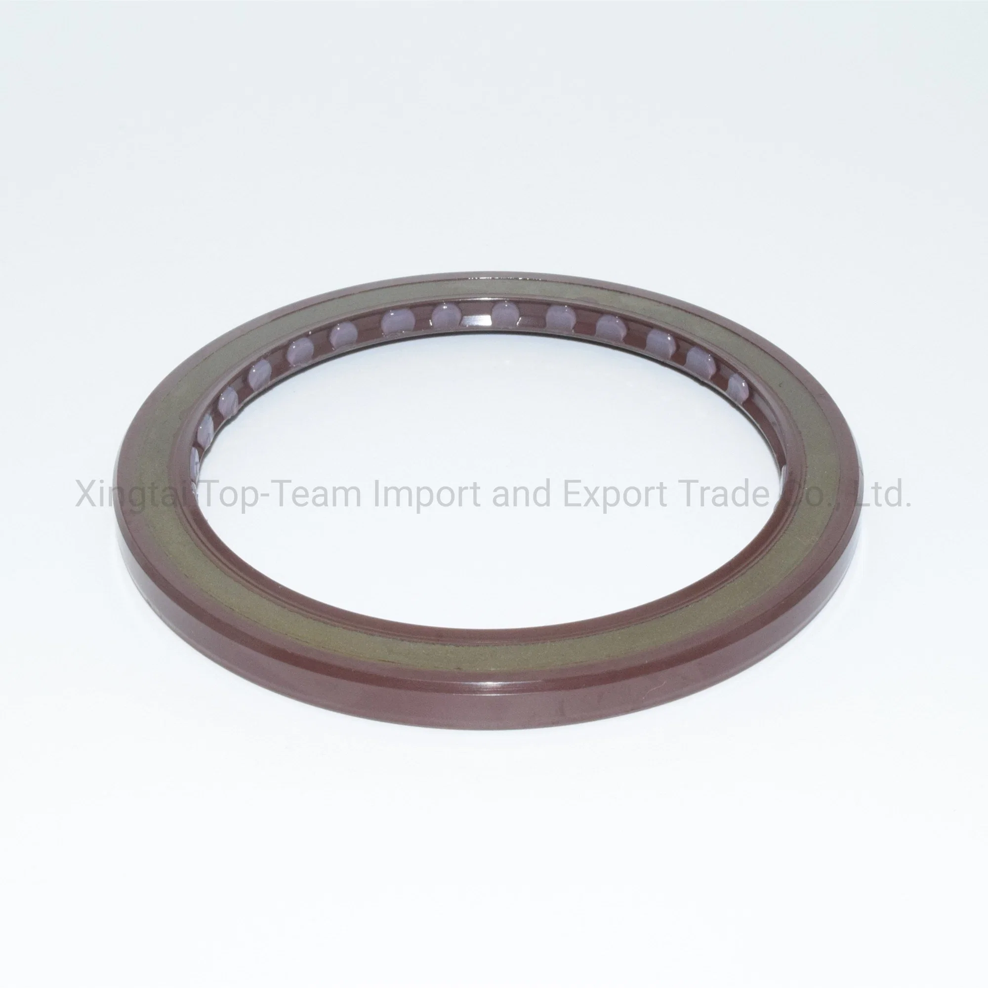 Dmhui Security Seals with FKM Material Bafsl1sf Type for A4vso355 Pump Rubber Oil Seals