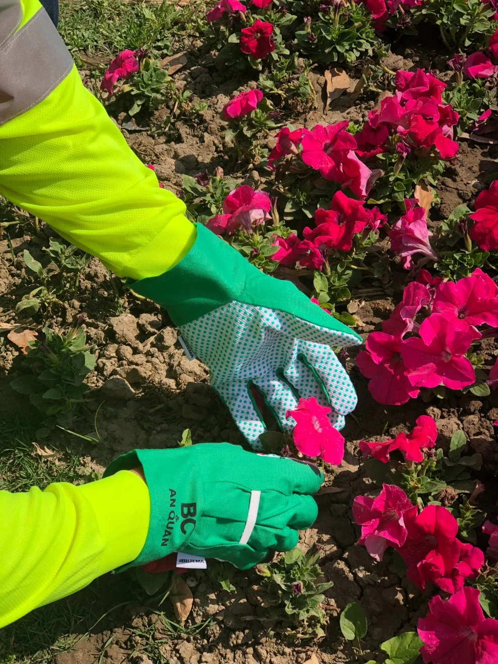 Women Soft Cotton Garden Gloves, Women Work Gloves