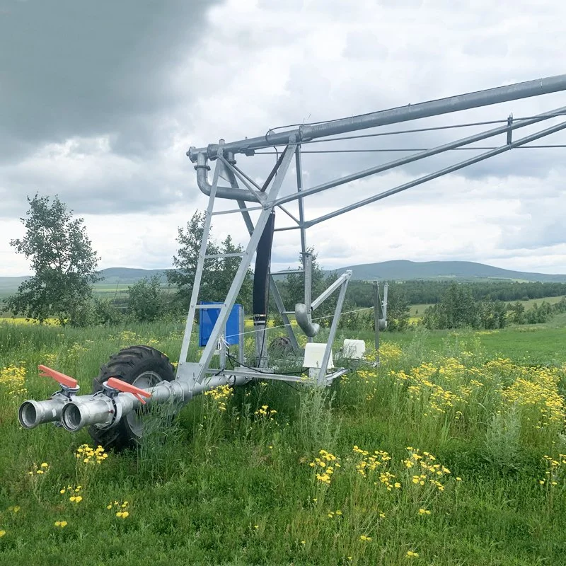 Große Landwirtschaftliche Seitliche Bewegung Elektrische Spraying Ackerland Bewässerung Maschine