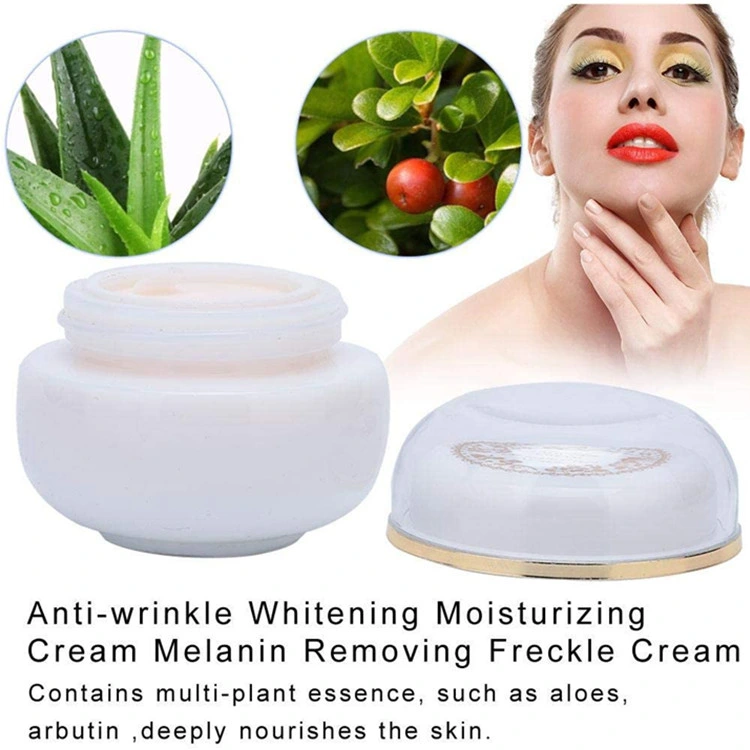 Wholesale/Supplier Freckle Whitening Anti-Wrinkle Moisturizing Skin Care Cream