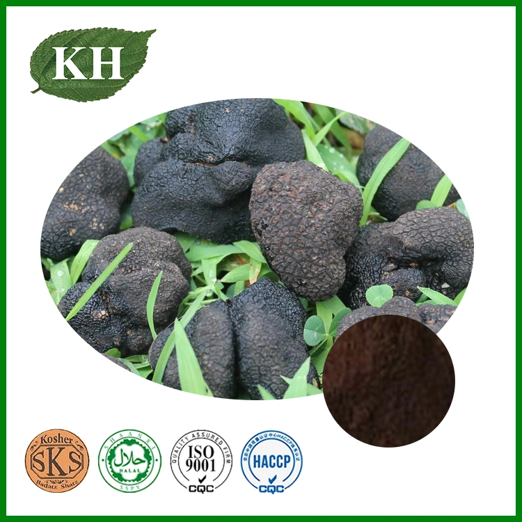 Kingherbs&prime; 100% Natural Black Truffle Pure Powder