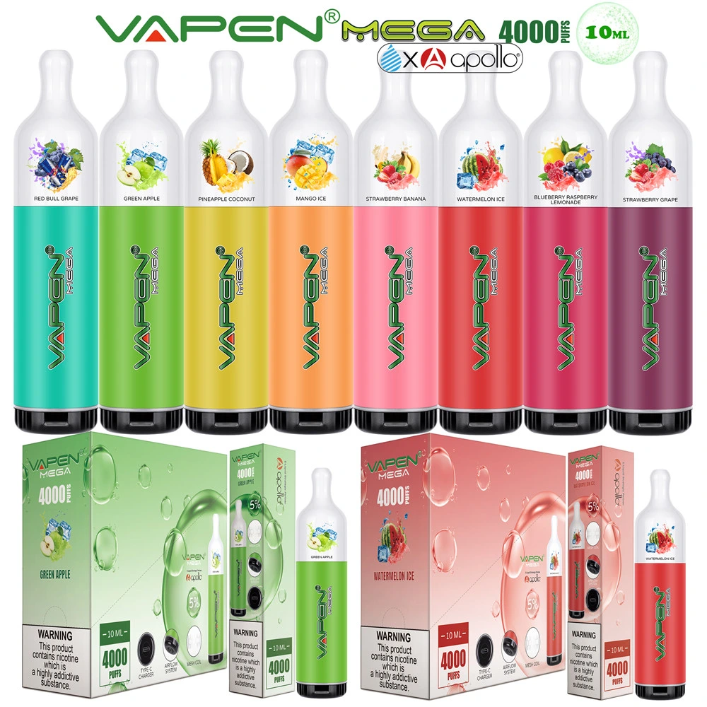 Rechargeable Disposable/Chargeable Vape Pen 12ml 4000 Puffs Various Flavour Mini Electronic Cigarettes