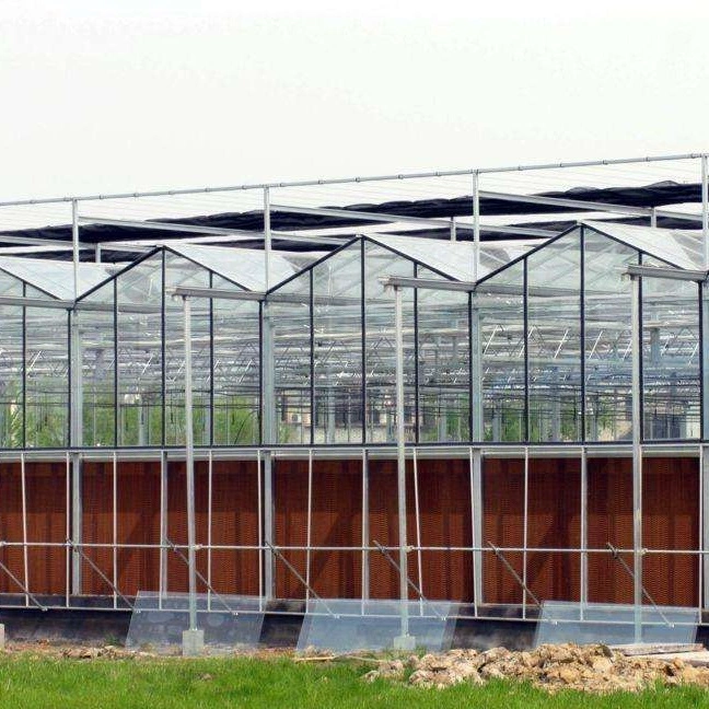 Agriculture Glass Greenhouse for Vegetables