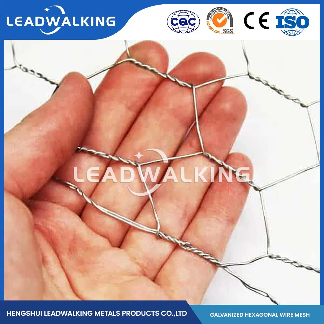 Leadwalking China 48 Inch Poultry Netting Manufacturers Mild Steel Wire 16mm Mesh Professional Galvanized PVC Coated Hexagonals Wire Mesh Cage for Poultry