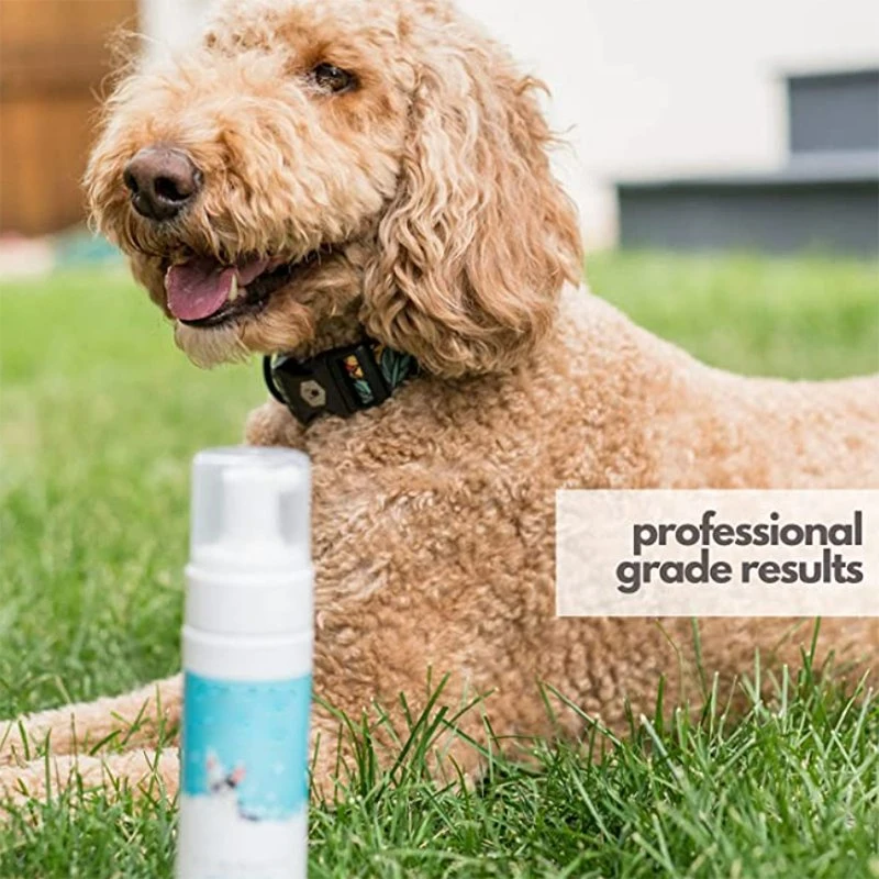 OEM ODM Food Grade Wasserlose Hund Dry Shampoo für Hunde Und Katzen 50ml Pet Products Pet Dry Clean Shampoo