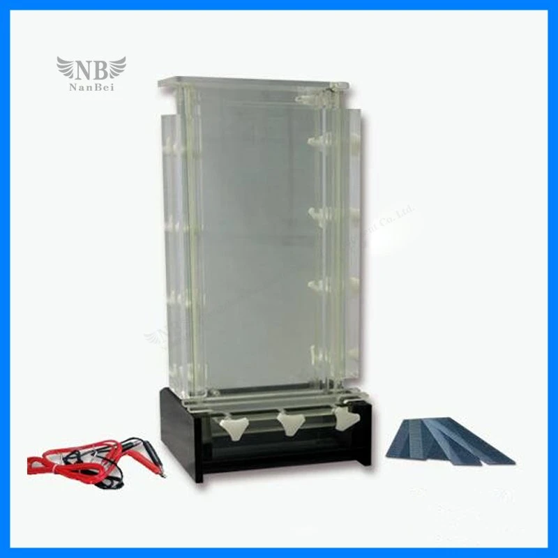 Double Vertical Gel Electrophoresis Apparatus with Reliable Quality