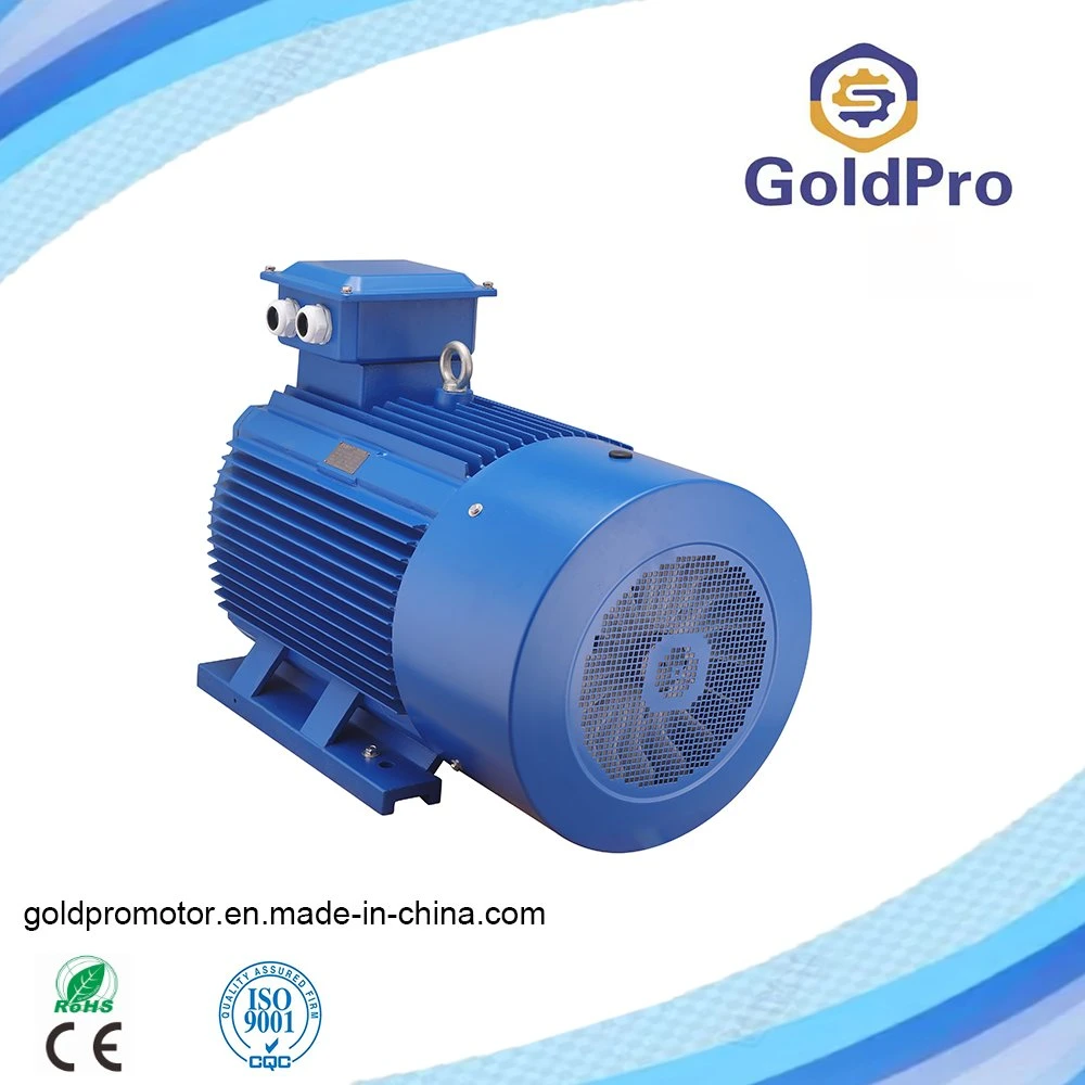 Squirrel Cage Rotor Energy Saving Three Phase Asynchronous Cast Iron Housing Electric Motor