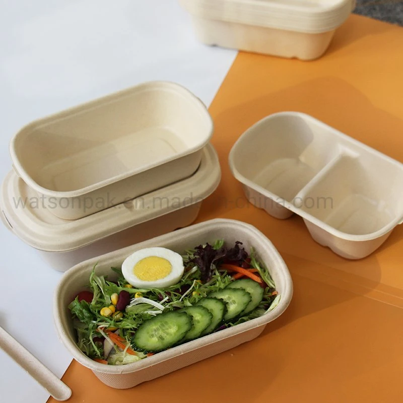 Moldeado pulpa Eco biodegradable, microondas y congelador caja caja de comida para llevar