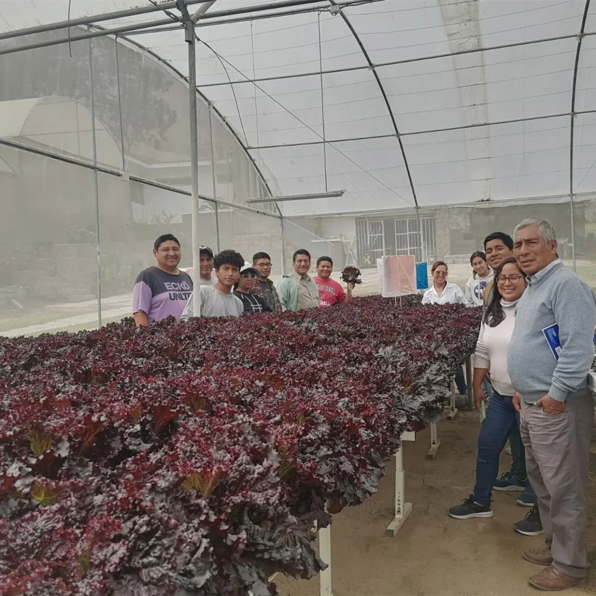 Heißer Verkauf Chinese Tunnel Greenhouse Aquaponics Superarm Nft Hydroponic System Landwirtschaftliche Zubehörprodukte