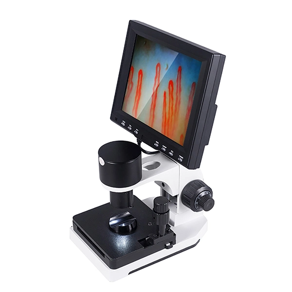 Nail Fold Microcirculation Microscope for Body Health Analyzer