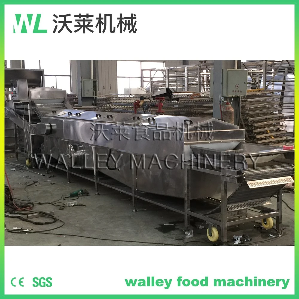 Customizing Industrial Hot Water Blanching Machine Blancher Aquatic Products