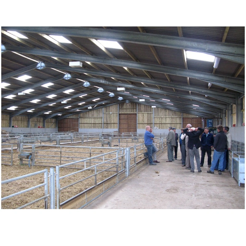 Résistance de la pluie moderne métalliques de grande taille Structure en acier Accueil Maison de la Volaille Poulet Cow Farm Building