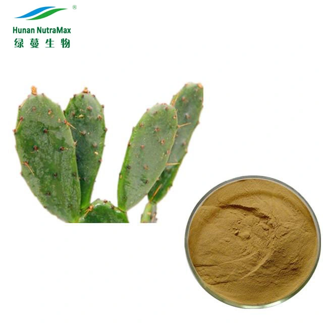 Cactus Extract Powder Opuntia Dillenii Haw Extract Powder 4: 1~20: 1