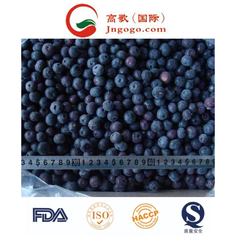 Hot Sale Frozen Whole Fruit IQF Blueberries