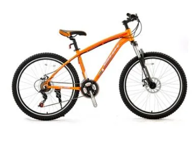 Popular New Style 26 27.5 29 Inch Senior Mountain Bike Spot Adult