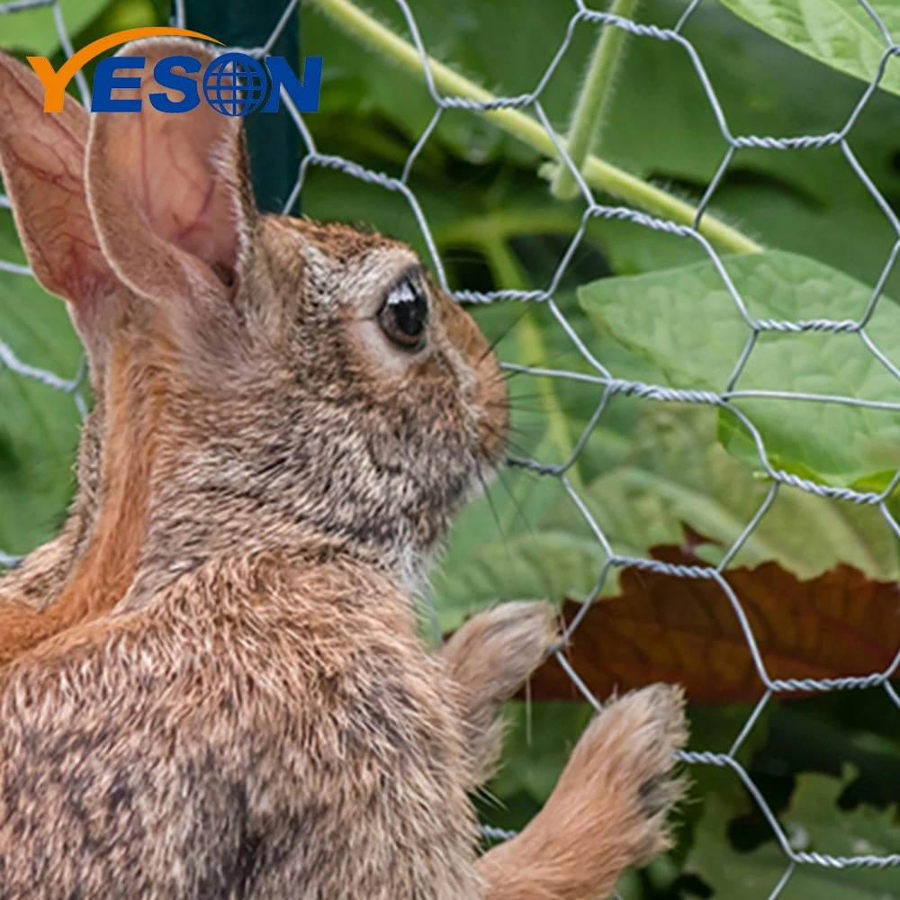 Big Chicken Wire Farm Fence with Chicken Wire PVC Chicken Fencing