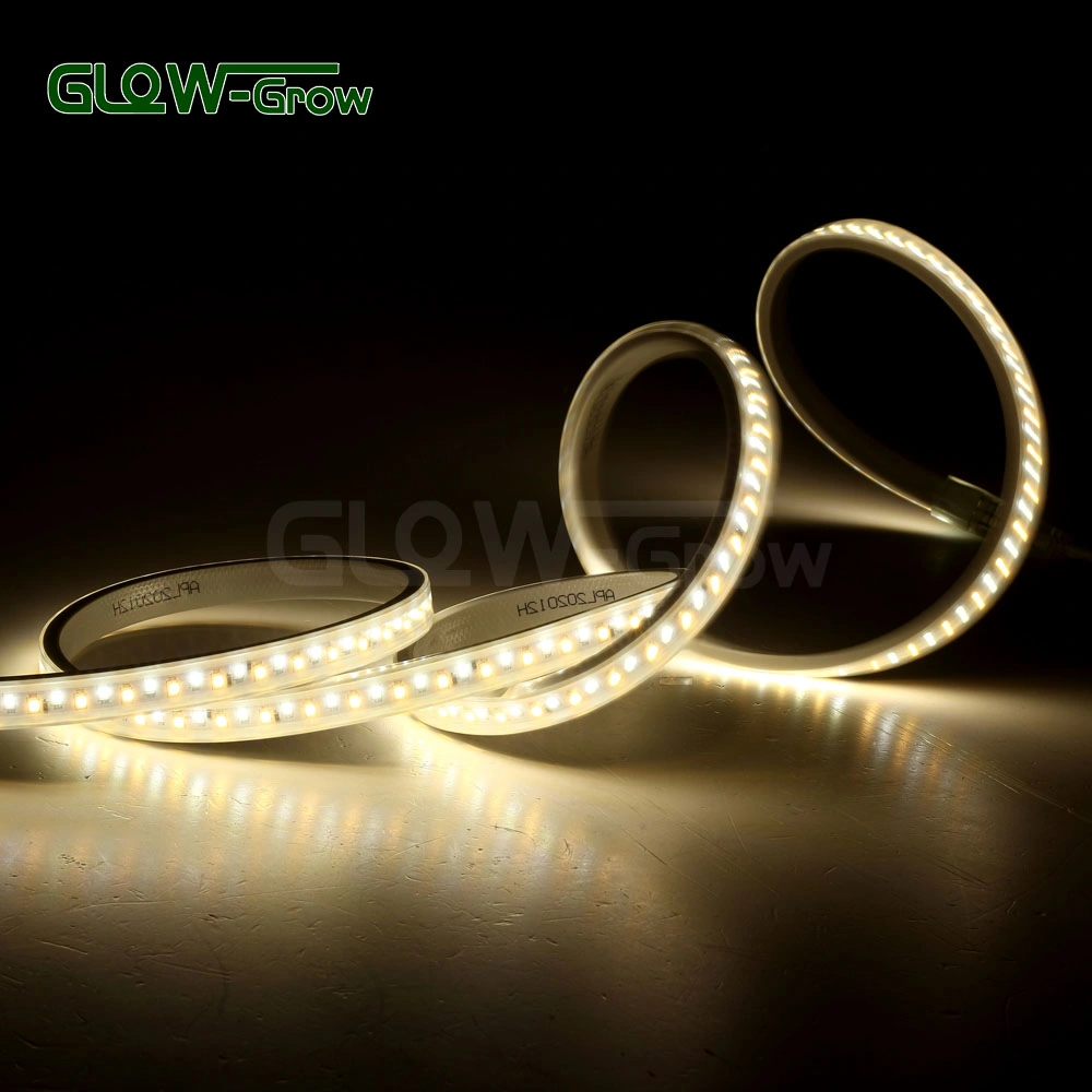 164FT Dual Color Flexible LED Rope Light Strip SMD 2835 LEDs with Dimmable IP65 Waterproof Remote Controller