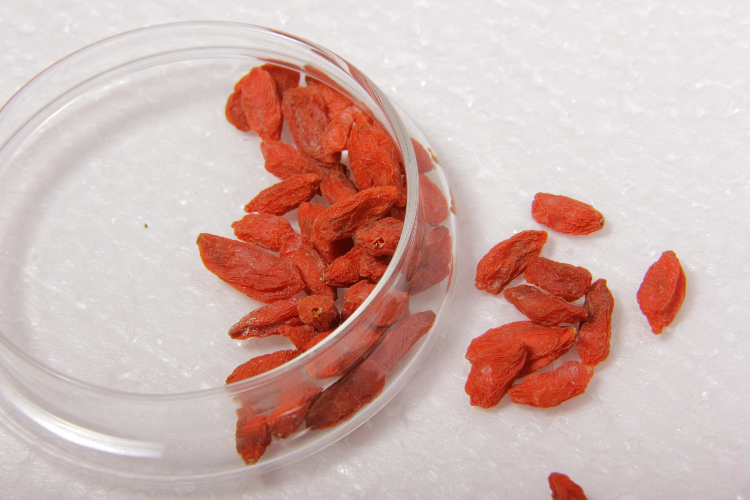 Goji Berry 180 From Ningxia and Qinghai