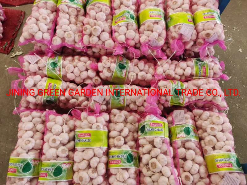 2022 New Crop Fresh White Garlic Farm, 2021 New Crop Mesh Bag Carton Pack by 3PC, 4PC, 5PC, 6PC, 7PC, 500g, 1kg, 3kg, 5kg, 10kg, 20kg Vary Size White Garlic