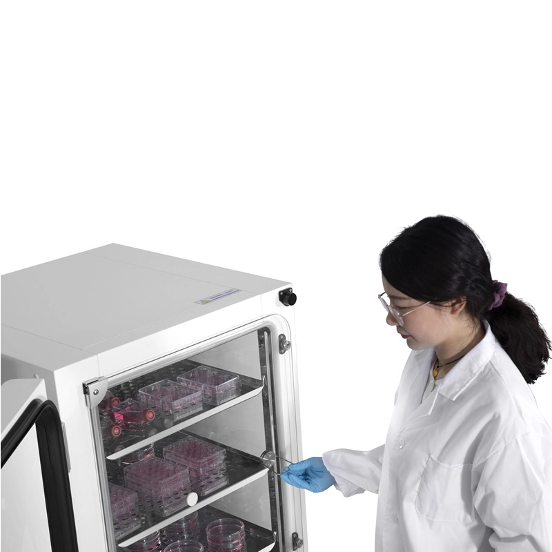 Mether 170L Capacity Medical Precision-Controlled CO2 Incubator with High-Performance for Cell Culture