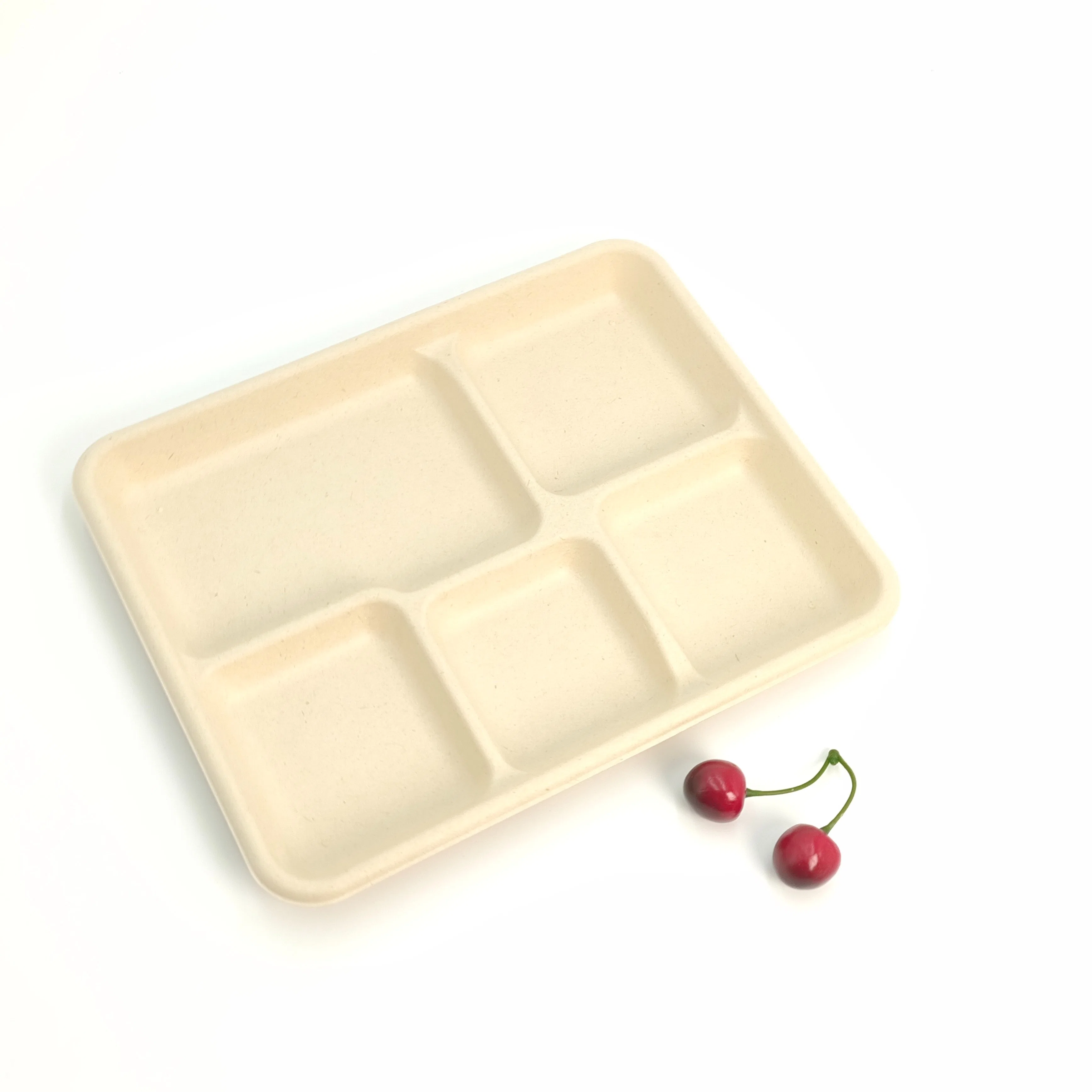 100% Biodegradable Compostable Paper Sugarcane Pulp Food Container Dessert Bagasse Tray with 5 Compartment