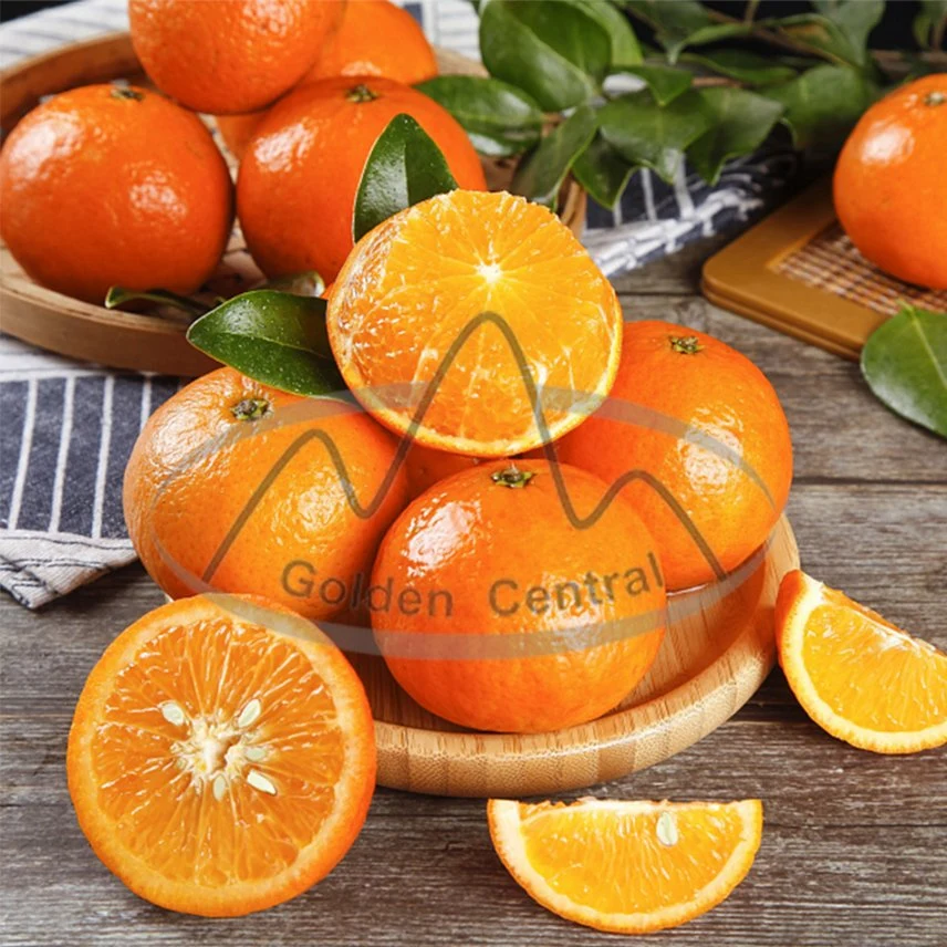 Suministro de calidad superior Natural de naranja fresca de Wogan delicioso de frutas Wogan