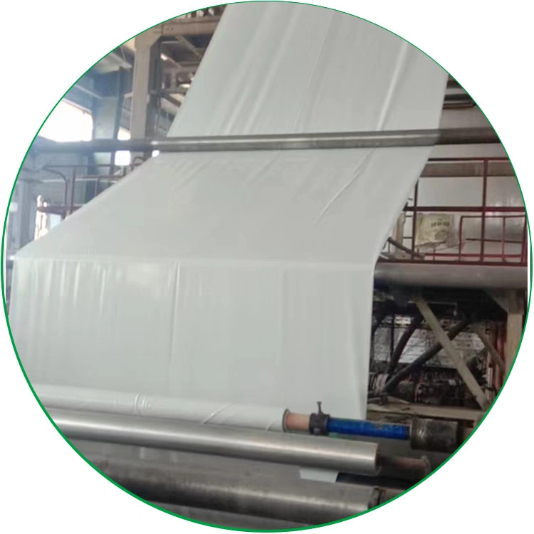 UV Protective 15.5m X 32m X 6mil/150mic LDPE Plastic Black White Film Greenhouse Cover